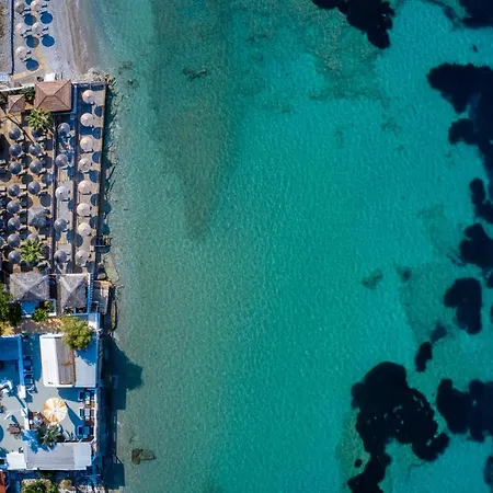 Black & White Boho 3* Μελίσσι