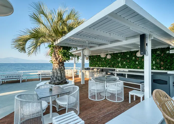 Hotel Black & White Boho